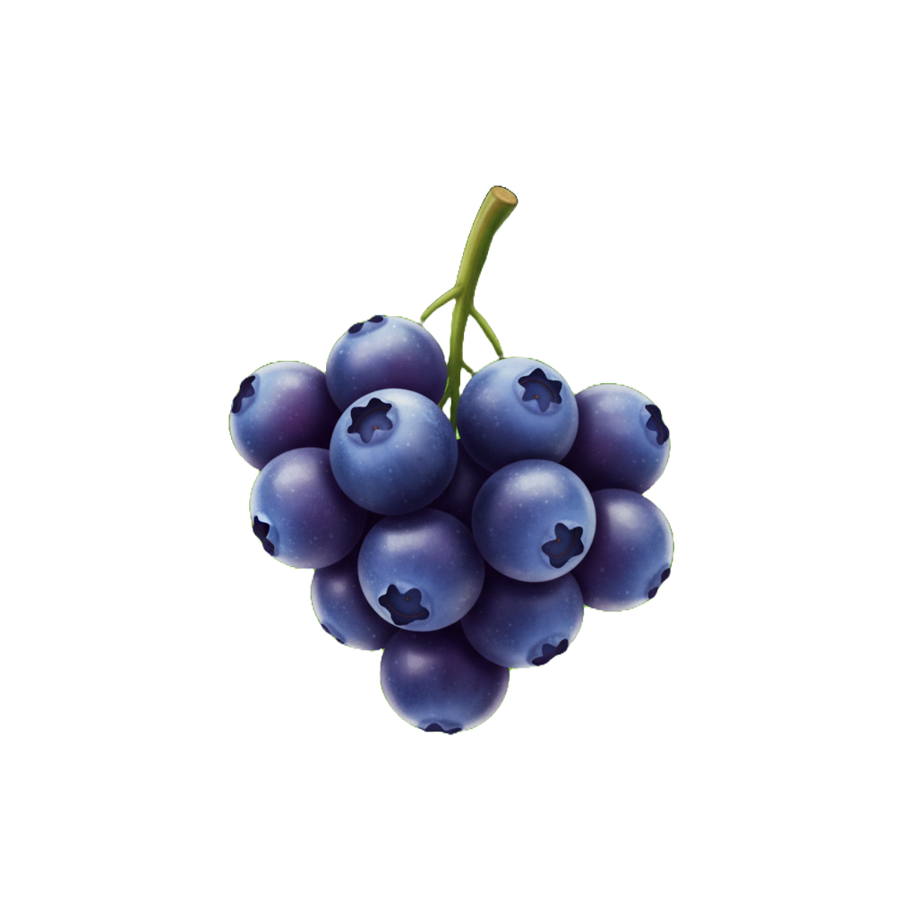 Blueberry